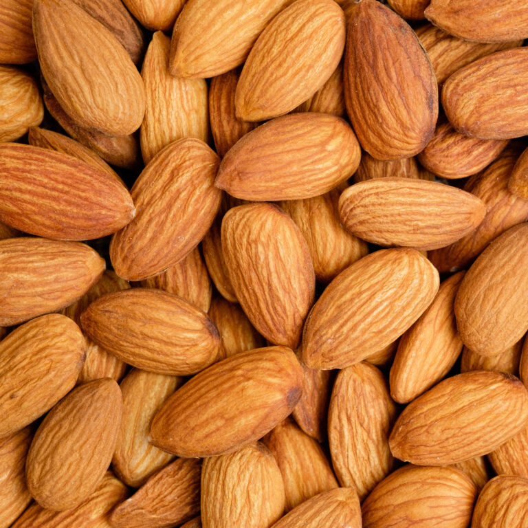 Raw organic almonds, sourced for almond oil and plant-based food production.