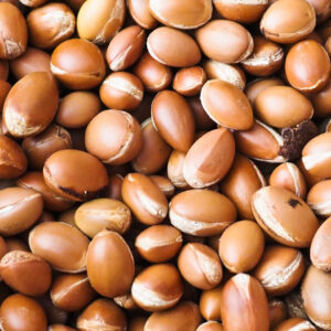Organic argan nuts, sourced for premium argan oil production. Perfect for cosmetic formulations and delicious oil to use in the kitchen.