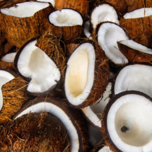 Coconuts used for organic coconut oil production Sigma Oil Seeds