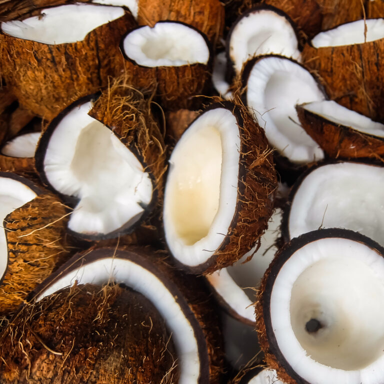 Coconuts used for organic coconut oil production Sigma Oil Seeds