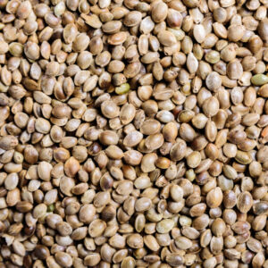 Hemp Oil is extracted from the seeds of the hemp plant. Used in nutritional supplements and foods and also popular in cosmetics for skincare.