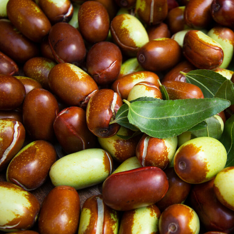 Jojoba Oil from the seeds of the jojoba plant is popular in cosmetics for skincare and haircare.