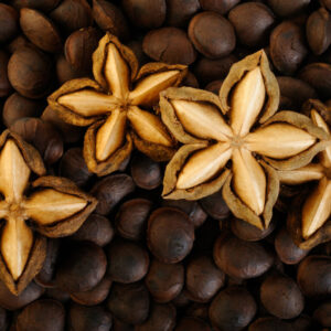 Sacha Inchi oil is rich in omega-3 and protein and is used in food and cosmetics.