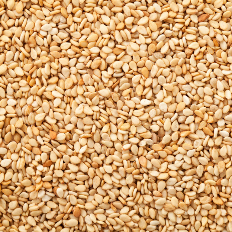 Sesame oil from the seeds of the sesame plant. Three types of organic sesame oil: virgin, roasted and refined. Rich in healthy fats and antioxidants, used for cooking.